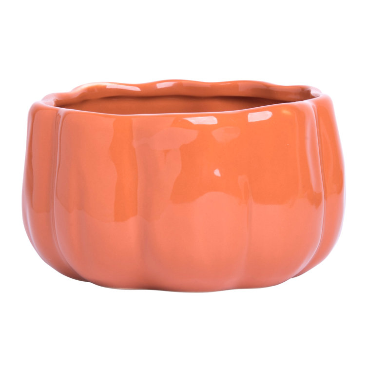 August Grove® Patrica 21 oz. Pumpkin Shaped Soup Bowl Wayfair